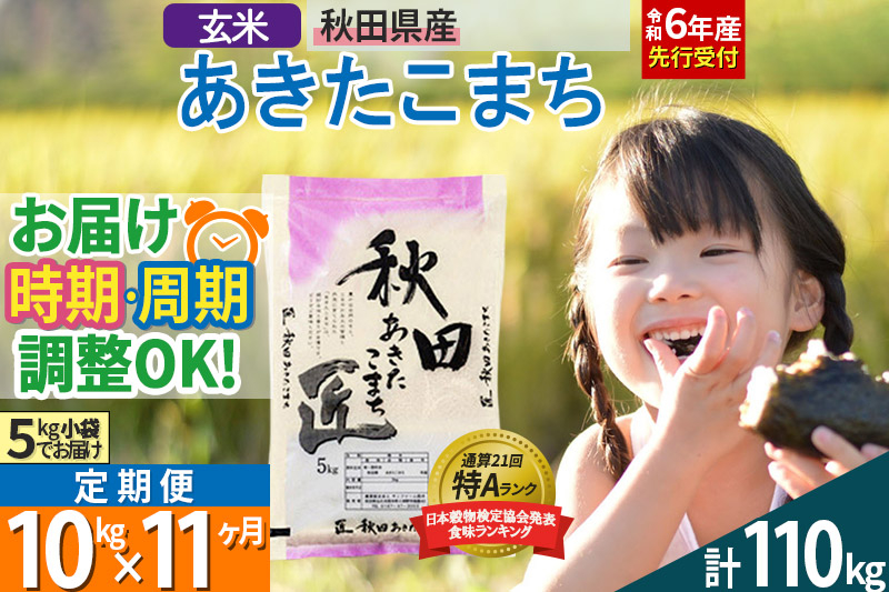 
【玄米】＜令和6年産 予約＞ 《定期便11ヶ月》秋田県産 あきたこまち 10kg (5kg×2袋)×11回 10キロ お米【選べるお届け時期】【お届け周期調整 隔月お届けも可】
