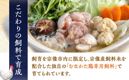 むなかた鶏使用　水炊き2人前 桂川町/株式会社海千[ADAR027]