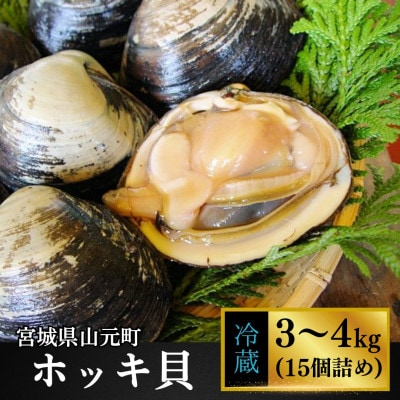 
ホッキ貝15個(3～4kg)＜宮城県山元町磯浜漁港直送＞獲れたての大粒北寄貝をお届けします 刺身でも【1479869】
