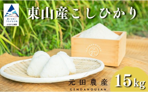 【先行予約】令和8年産 コシヒカリ 精米 15kg お米 白米 小松市 石川県 こしひかり【元田農産】