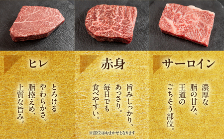 飛騨牛ステーキ 3種 食べ比べセット（各100g）計300g （サーロイン・ヒレ・赤身）【22-50】