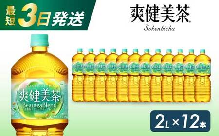爽健美茶 PET 2L×12本(6本×2ケース) お茶 飲料 ソフトドリンク カフェインゼロ ペットボトル 箱買い まとめ買い 備蓄 災害 014063