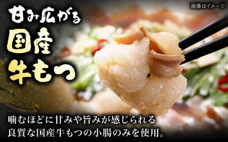 【ギフト用】 博多もつ鍋（醤油味）3人前 《豊前市》【株式会社 海千】[VEC008]