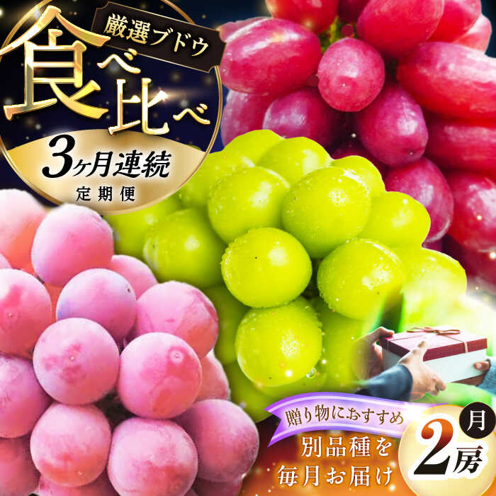 【ふるさと納税】【全3回定期便】【2026年先行予約】【30個限定】【秀品】毎月ぶどうをお届け！イチオシ3品種 各2房 ブドウ 葡萄 シャインマスカット 大粒 フルーツ 果物 くだもの セット 食べ比べ 贈り物 お祝い 先行予約 島根県雲南市/ギアファーム[AIAB010]