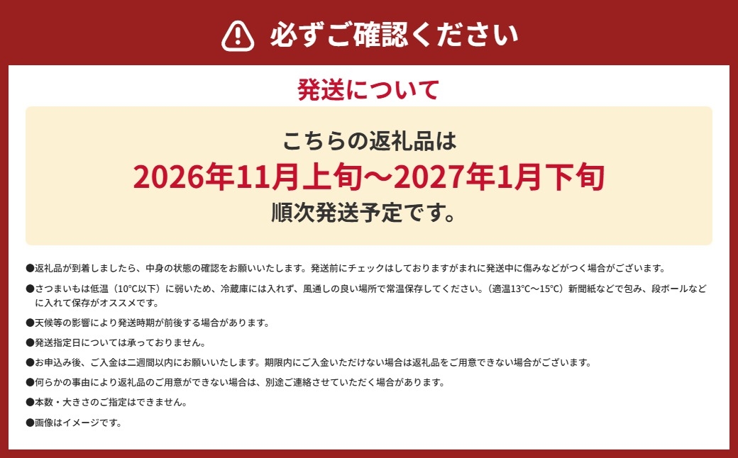 元Jリーガーが育てた熊本産べにはるか約3kg