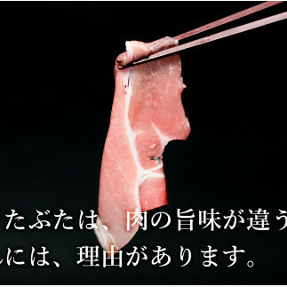 【3回定期便 総計3kg】 ありたぶた ロース しゃぶしゃぶ 約1kg (200g×5パック) 3回 定期便 小分け 真空パック 豚肉 N30-28_イメージ2