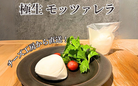 チーズ セット 4種 幻のブラウンチーズ入 | 【 チーズ 】