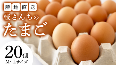 枝さんちのたまご(M～L20個) 産地直送 餌にこだわり 平飼いでのびのび育った卵 卵 非遺伝子組換え [BT001sa]