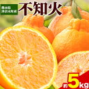 【ふるさと納税】先行予約 不知火 約5kg《4月上旬-5月末頃出荷》 みかん 期間限定 デコポン と同品種 熊本県 葦北郡 津奈木町 つなぎ百貨堂 フルーツ 柑橘