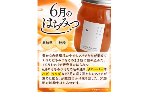 6月のはちみつ540gKURARIくらりミツバチ研究室《90日以内に出荷予定(土日祝除く)》蜂蜜ハチミツ非加熱純正生ヨーグルト---wsk_krrjhoney_90d_22_10000_1d---