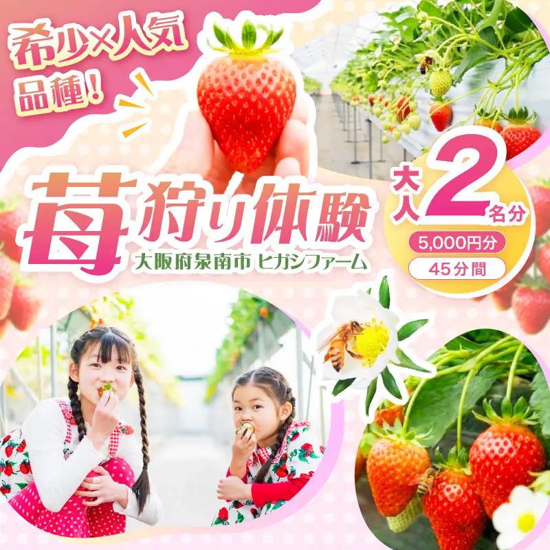 【見つけて、摘んで、食べて！】希少いちご「ほしうらら」を摘みに行こう いちご狩り 体験チケット（大人2名 5,000円分）【121D-001】