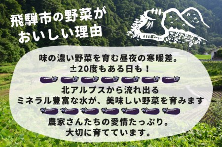 【7月上旬～10月中旬発送】飛騨 夏秋なす 2kg (8-10本)茄子 ナス 大なす 産地直送 夏野菜[Q792] syun170