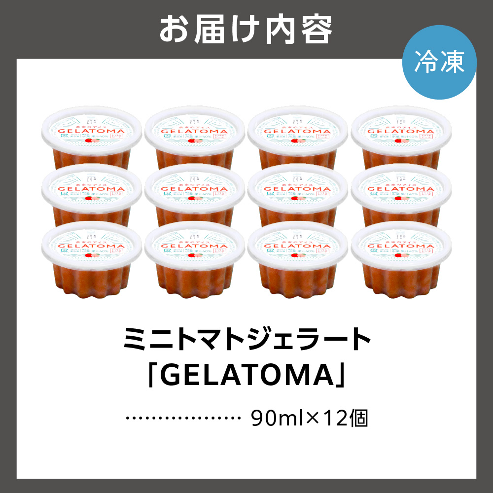 トマト農家が作ったトマトのジェラート「GELATOMA」12個_is029-008-000