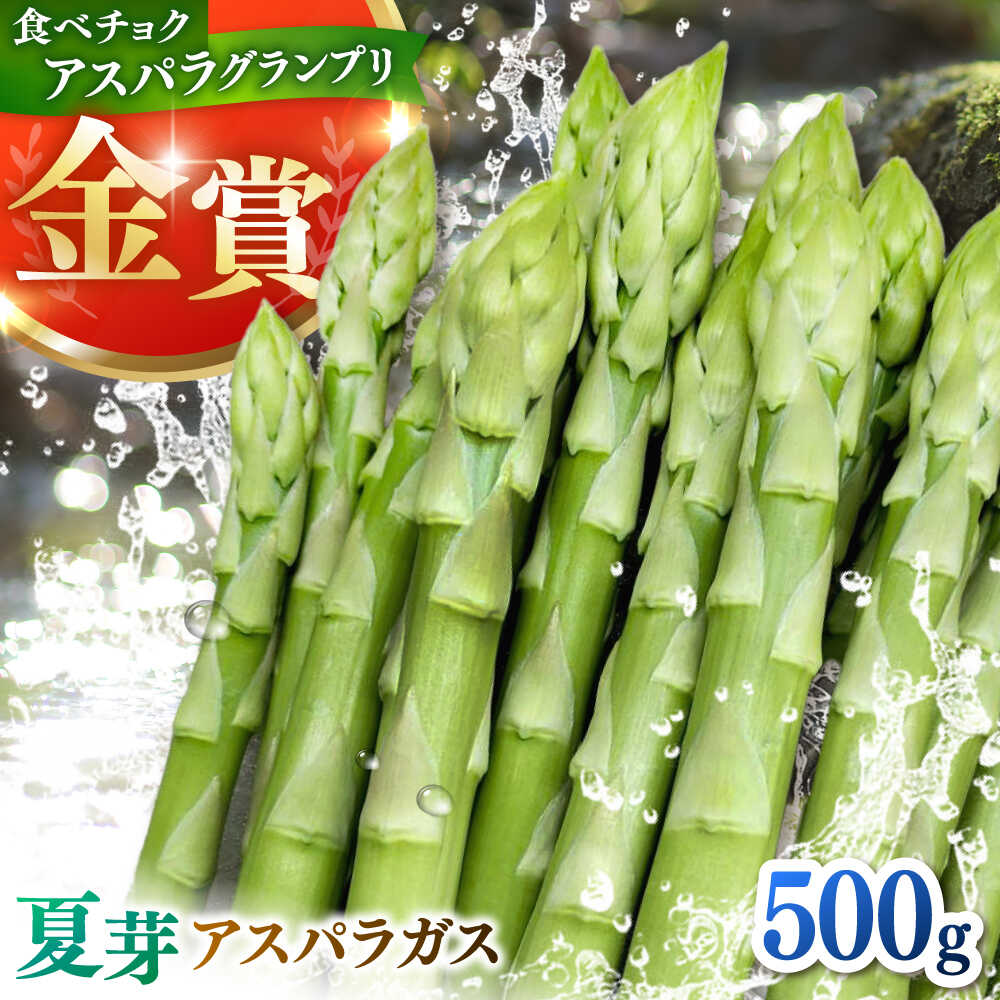 【ふるさと納税】【先行予約】身体にやさしい こだわり 夏芽 アスパラガス 約500g【ひがじま農園】野菜 アスパラガス グリーンアスパラ 旬 とれたて お取り寄せ 産地直送 小分け 保存 送料無料 [ICW004]
