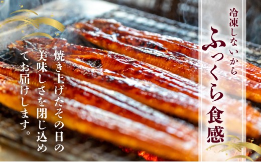 ＜順次発送/定期便2回＞ うなぎ蒲焼き 計800g (200g×2尾×2回) 冷蔵 21ys-0002