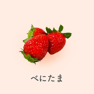 予約受付 いちご べにたま +おまかせ品種 560g  苺 べにたま いちご  苺 べにたま いちご  苺 べにたま いちご  苺 べにたま いちご  苺 べにたま いちご
