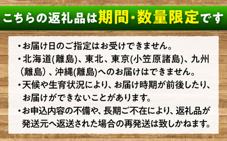 先行予約 【2026年9月中旬から10月上旬発送】シャインマスカット 2房入り 計1kg 広島県福山市/株式会社フジ・アグリフーズ ブドウ 葡萄 マスカット ギフト 種なし 大粒[BAGF005]