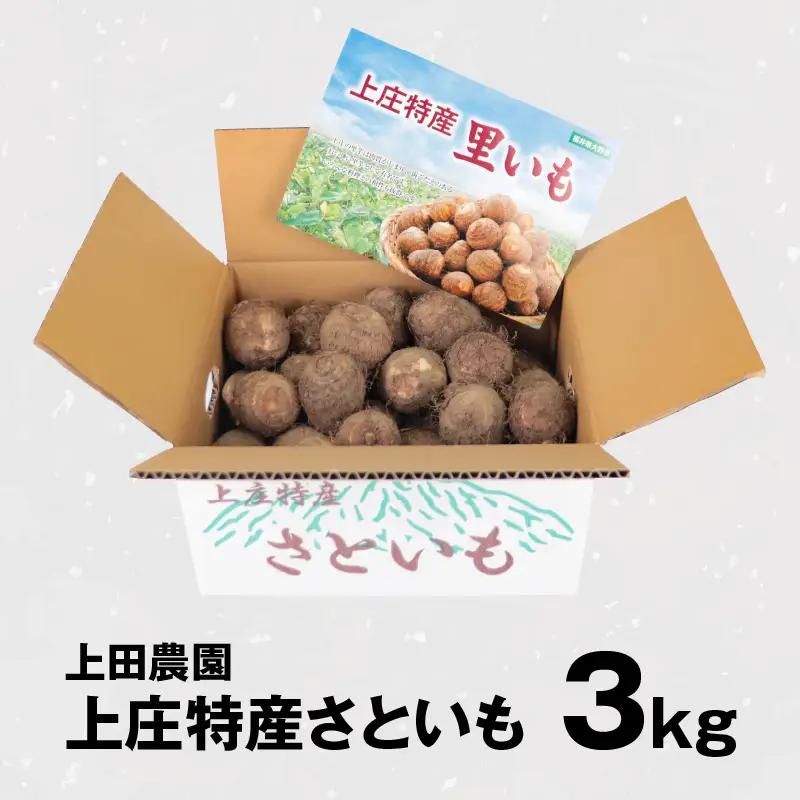 【先行予約】【満天☆青空レストランでご紹介】上田農園 上庄特産さといも 3kg【10月下旬から順次発送】年内発送