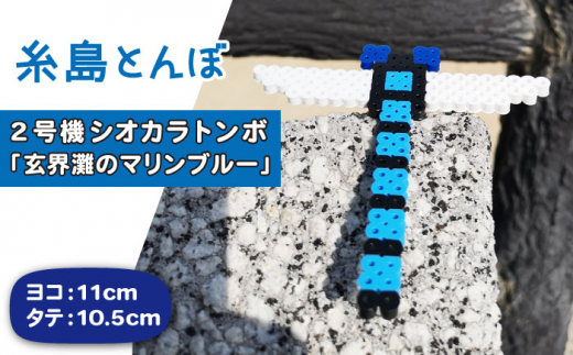 
二号機 ： 玄界灘 の マリンブルー シオカラトンボ 《糸島》【糸島とんぼ】 [APK003]
