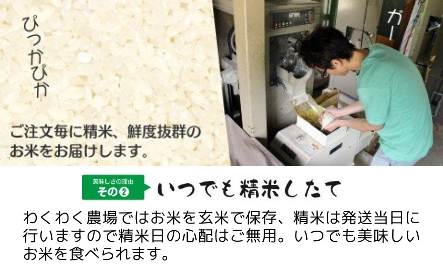 稲作専門農家が作るこだわりのコシヒカリをお届けします