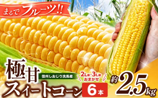 ふるさとの夏、お盆。真ん中に採れたてのとうもろこし♪