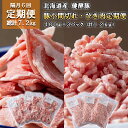 【ふるさと納税】 ＜ 6ヶ月 定期便＞ 北海道産 ブランドポーク 小間切れ ひき肉 毎月 計 1.2kg ( 400g × 3パック ) 総計 7.2kg 健酵豚 豚肉 大容量 小分け パラパラ 挽肉 こま切れ 豚 肉 ブランド ポーク 酵素 旨味 うまみ うま味 冷凍 北海道 新ひだか町