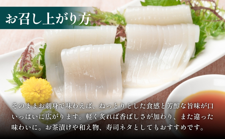 いか 昆布締め 80g×5 刺身 昆布〆 イカ 冷凍 魚 富山県 氷見市