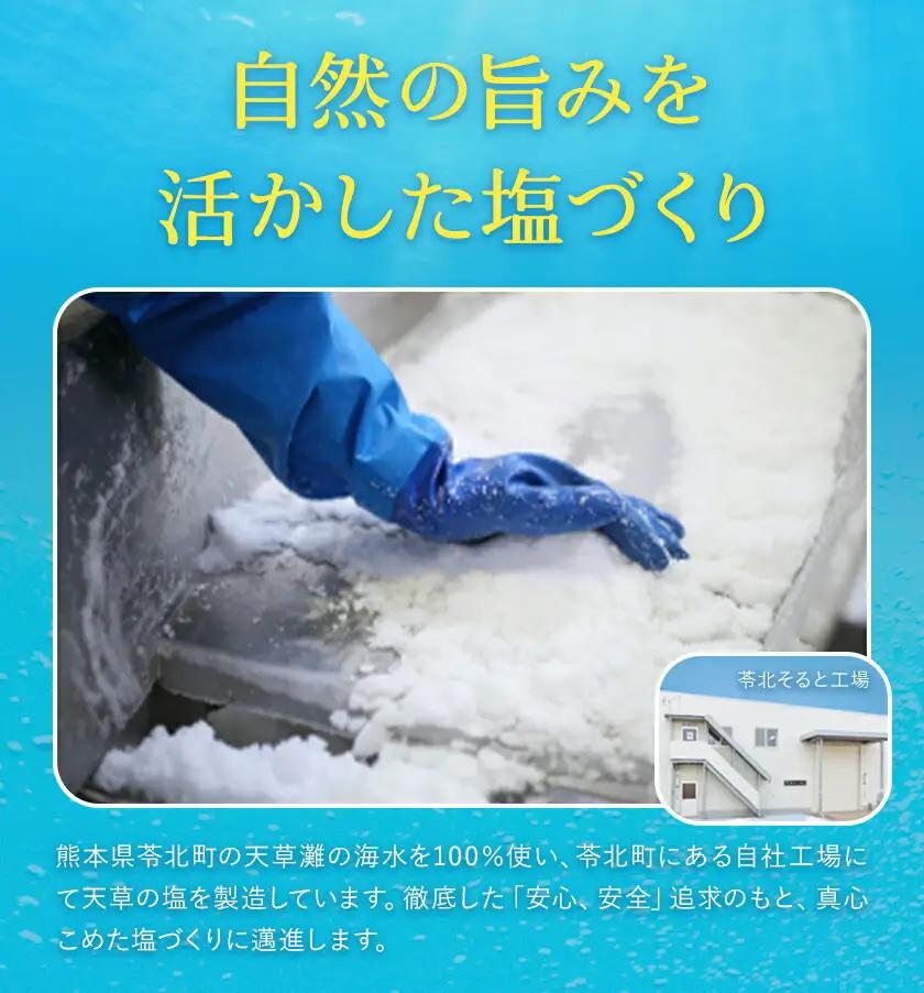 天草の塩・極上職人のうまかだしセット 天草の塩(しっとりタイプ) 200g 極上職人のうまかだし 8g×30包 九電産業株式会社 《30日以内に出荷予定(土日祝除く)》熊本県 苓北町 塩 だし sal