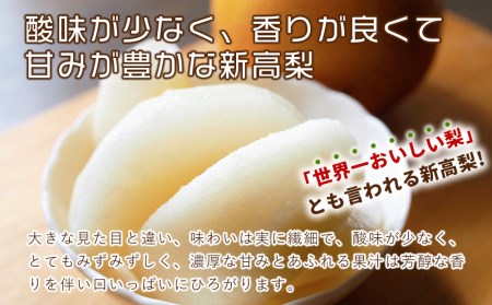 【先行予約】【数量・期間限定】久保平農園の源流山育ち完熟新高梨 5kg 産地直送 果物 なし 梨 箱入り 大分県 中津市