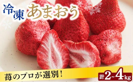 
                   ＜選べる容量＞自然環境農法 福岡県産 冷凍あまおう 2kg/4kg|苺 いちご イチゴ 完熟 あかい まるい おおきい うまい フルーツ 果物 デザート 期間限定 産地直送 冷蔵 お取り寄せ グルメ 送料無料 福岡県 那珂川市 
                