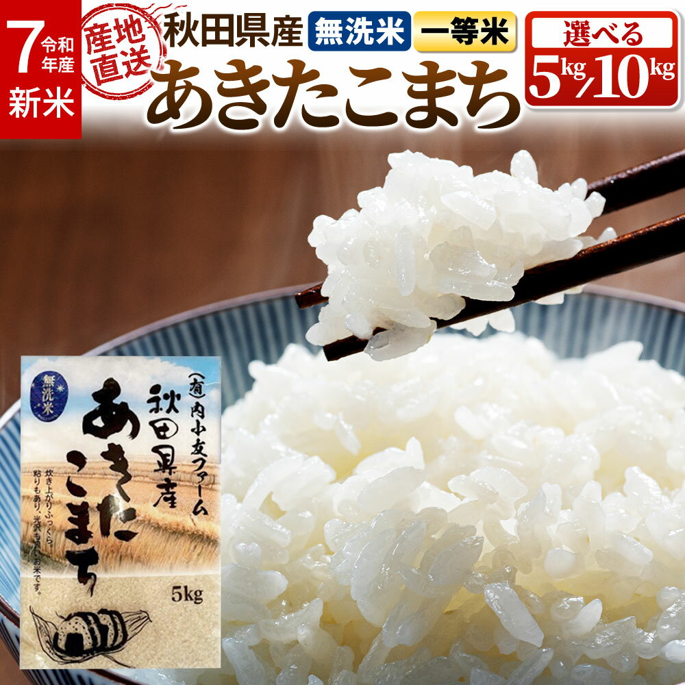 【ふるさと納税】新米 米 令和7年産 秋田県産あきたこまち 農家直送 【無洗米】［5kg／10kg］内小友ファーム