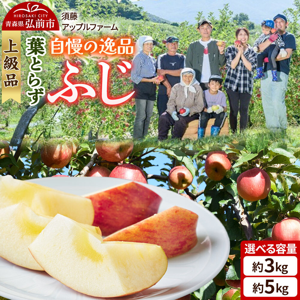 【ふるさと納税】りんご【26年11月下旬〜発送】葉とらず ふじ【上級品】【選べる約 3kg／5kg】先行受付 青森県 弘前市 果物 フルーツ 林檎 リンゴ くだもの ギフト 贈り物 贈答 [先行予約 産地直送 アップル おいしい 果実 美味 甘い 赤色]