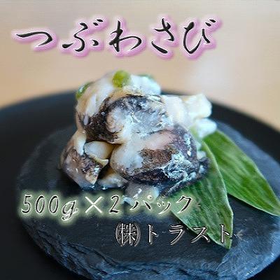 ふるさと納税 根室市 【北海道根室産】つぶわさび500g×2P A-46002