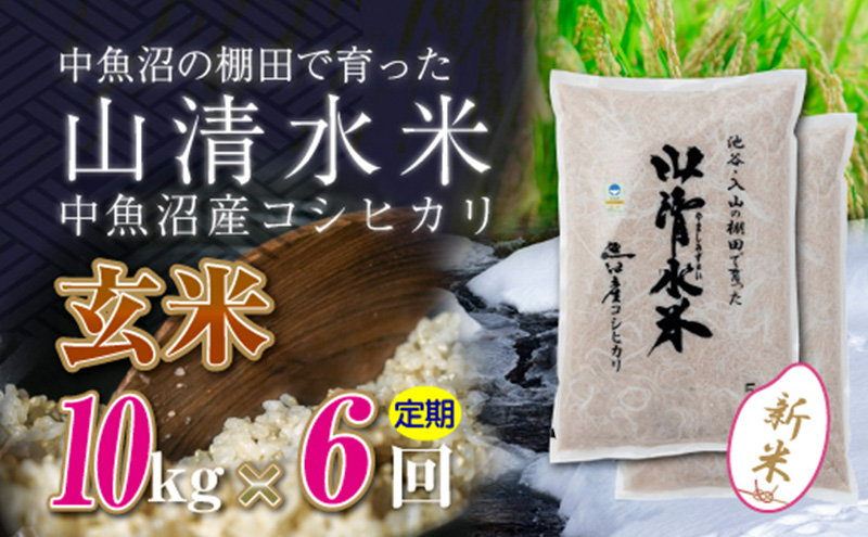 【令和6年産】【定期便／全6回】玄米10kg　新潟県魚沼産コシヒカリ「山清水米」十日町市 米