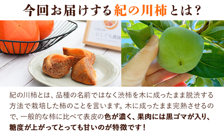 【先行予約】柿 紀の川柿 約1.8kg《10月下旬-10月末頃出荷》柿柿柿柿柿