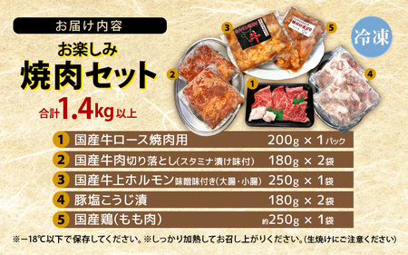 国産 お楽しみ 焼肉セット 合計1.4kg以上【牛肉ロース 味付け肉 牛ホルモン 豚肉 鶏肉 小分け 便利 BBQセット】 [e03-b004]