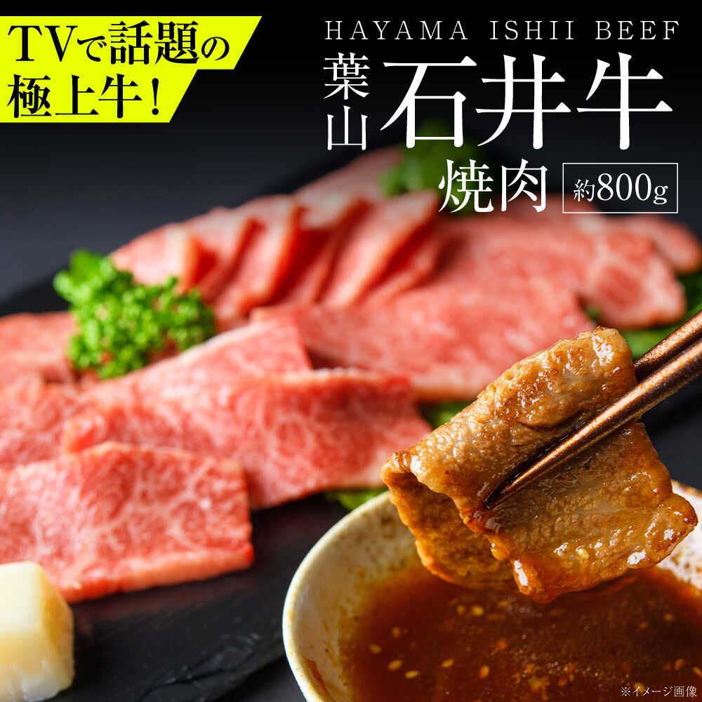 【ふるさと納税】葉山石井牛焼肉 800g | 赤身と脂のバランスが絶妙な神奈川・葉山発 ブランド牛 牛肉 肉 和牛 国産 焼き肉 焼肉 やきにく 葉山 HACCP認証 神奈川 【株式会社石井ファーム葉山マルシェ】[ASCD006]