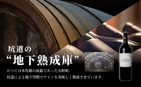 坑道熟成高級ワイン（シャトーマルゴー）1本×750ml | 赤ワイン フランス産 カルベネ・ソーヴィニヨン 熟成高級ワイン 五大シャトー 佐賀県 大町