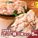 【ふるさと納税】【レビューキャンペーン対象】宮崎県産鶏 スペシャル鶏三昧5kgセット - 鶏もも肉 鶏むね肉 手羽元 総重量5キロ 鶏肉セット 唐揚げ/チキン南蛮/サラダチキン/煮物 3種類の部位 真空パック スピード配送便 送料無料【宮崎県木城町】