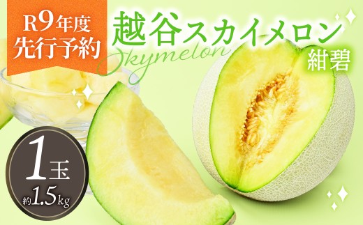 メロン めろん スカイメロン すかいめろん メロン めろん スカイメロン すかいめろん メロン めろん スカイメロン メロン