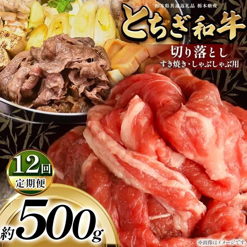 【定期12回】最高位賞を受賞！最高級ブランドの柔らかく風味豊かなとちぎ和牛切り落とし 500g（すき焼き・しゃぶしゃぶ用） | 霜降り 和牛 切り落とし とろける 品質 柔らかく 銘柄牛 安心 安全 美味しい おいしい 芸術品 特産品 ふるさと 納税 栃木県共通返礼品 栃木県 那珂川町 送料無料