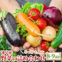 【ふるさと納税】諫早産野菜の詰め合わせ(8～9品目程度) / 季節 旬 野菜 春野菜 夏野菜 秋野菜 / 諫早市 / 肥前グローカル株式会社 [AHDI004]