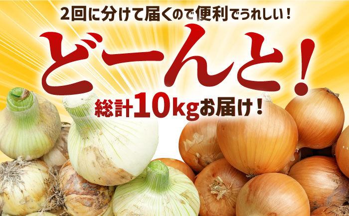 【2回定期便】農家直送 玉ねぎ 定期便 5kg/回 【玉葱農家 陣内ちひろ】玉葱 たまねぎ 新玉ねぎ 新玉葱 晩生 [IAO026]
