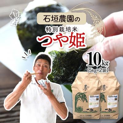 ふるさと納税 庄内町 石垣農園の特別栽培米 つや姫 10kg 令和7年産 2025年産 ブランド米
