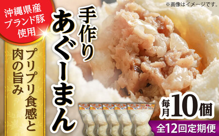 肉まん 【全12回定期便】あぐーまん 10個入り (2個入り×5P)  BCBL031 惣菜