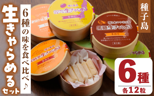 n018 種子島の素材使用 生きゃらめる詰め合わせ(6種・各12粒入)【ホテルレストラン公園通り】