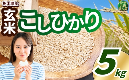 【数量限定！】お米 玄米 こしひかり 5kg 真岡市 栃木県共通返礼品 