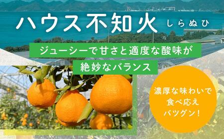 越冬完熟しらぬひ3kg 2026年3月上旬～発送予定【しらぬい しらぬい しらぬい しらぬい しらぬい】　