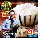 【ふるさと納税】令和6年産新米 お米 ヒノヒカリ 20kg（10kg×2袋）米・食味鑑定士×お米ソムリエ×白米ソムリエ お米 新米 おこめ 白米 ごはん 愛媛県産お米 \レビューキャンペーン中/大洲市/稲工房案山子[AGAV013]