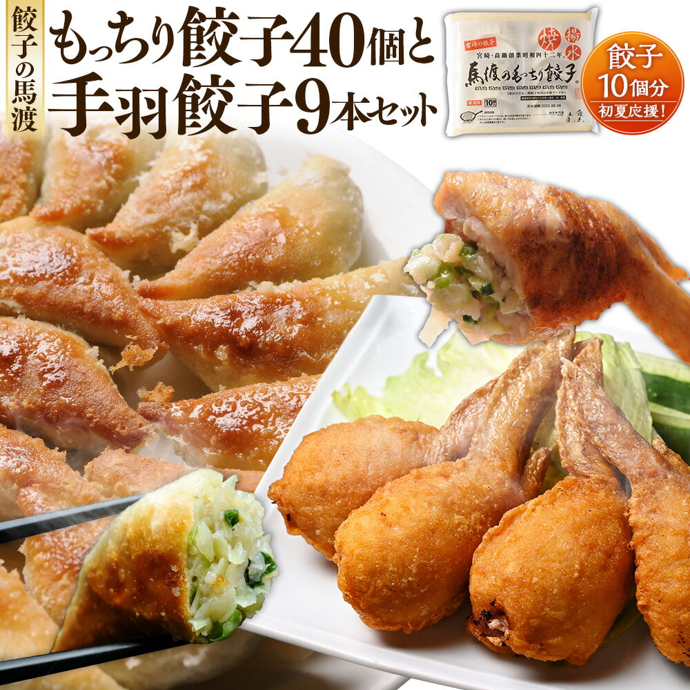 餃子の馬渡 馬渡のもっちり餃子40個と手羽餃子10本セット